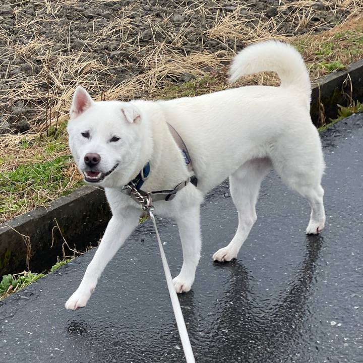 B6bd4316 ff16 4c41 af6a 6988e81a121f 1740696374300