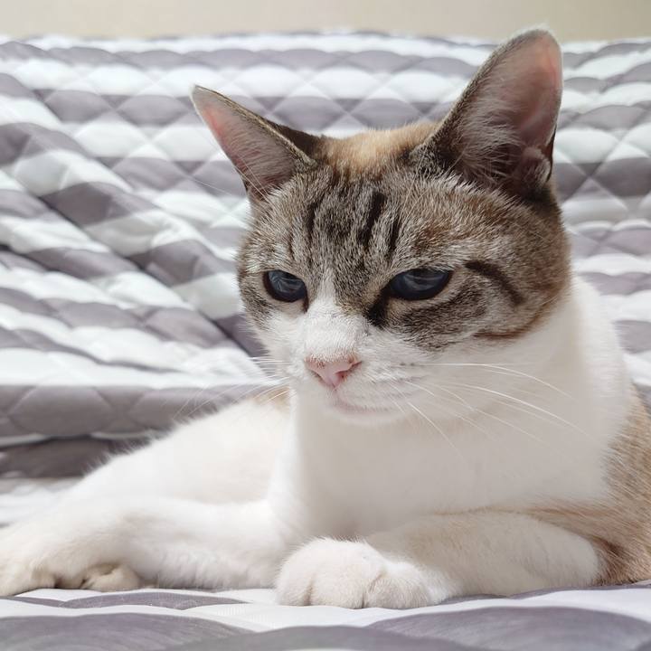 B6bd4360 054a 4d1a 9411 7b7843b387a4 1626863561128