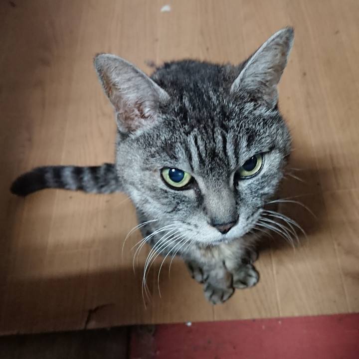 B6bd4abf 76f5 4d71 a16d b13e0aba13e4 1550881721707