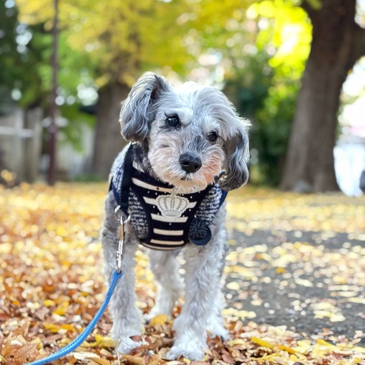 B6bd67f3 d9bf 491d 95dd 886f81966c88 1763455405185