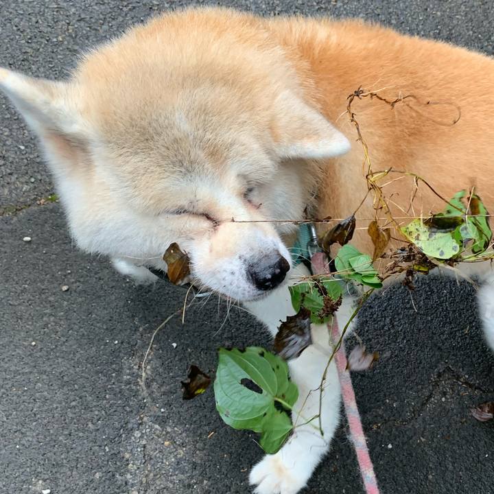 B6bd92c3 4ab4 4e80 b0da b72721b2a337 1634357946618