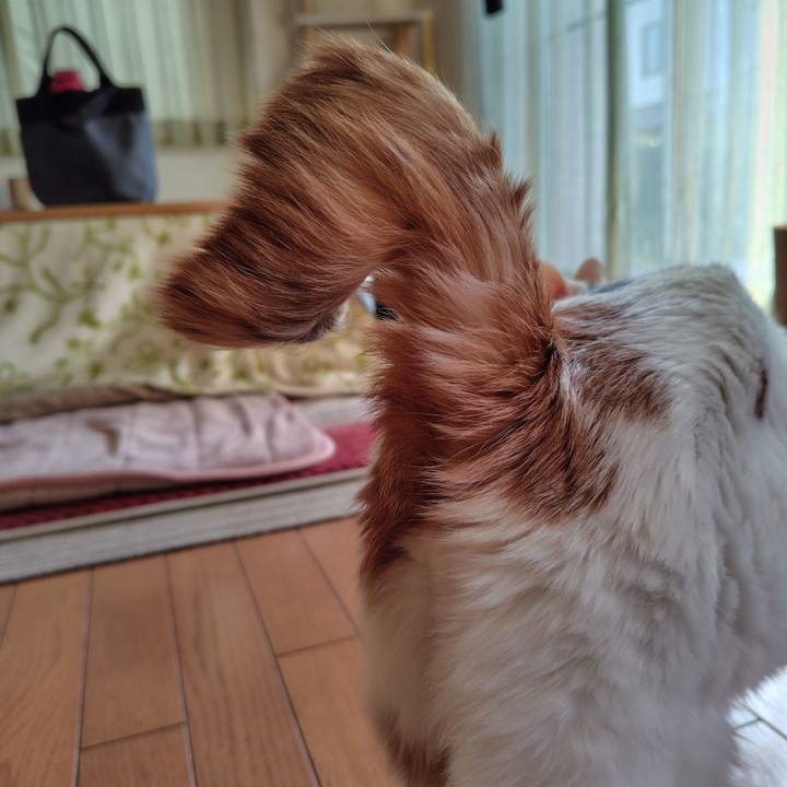 B6bdb545 529e 4b9d b62e 07d488f2aaaa 1737587726634