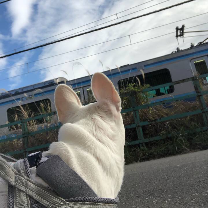 B6bdbab3 1683 45ec a7cf 20692f4d190e 1670119855748