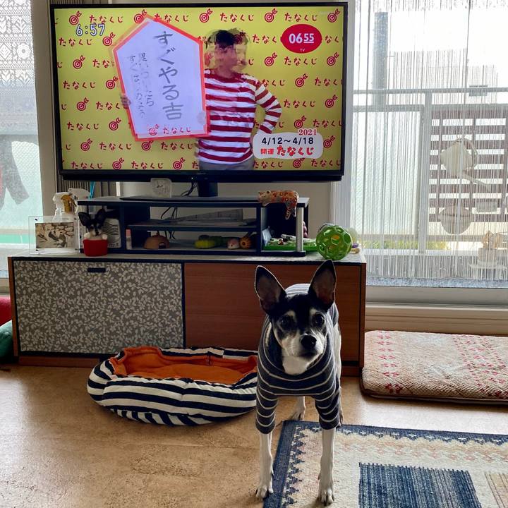 B6bdd66f 19df 4eb1 9f60 ffdde6d6dfd7 1618179262685