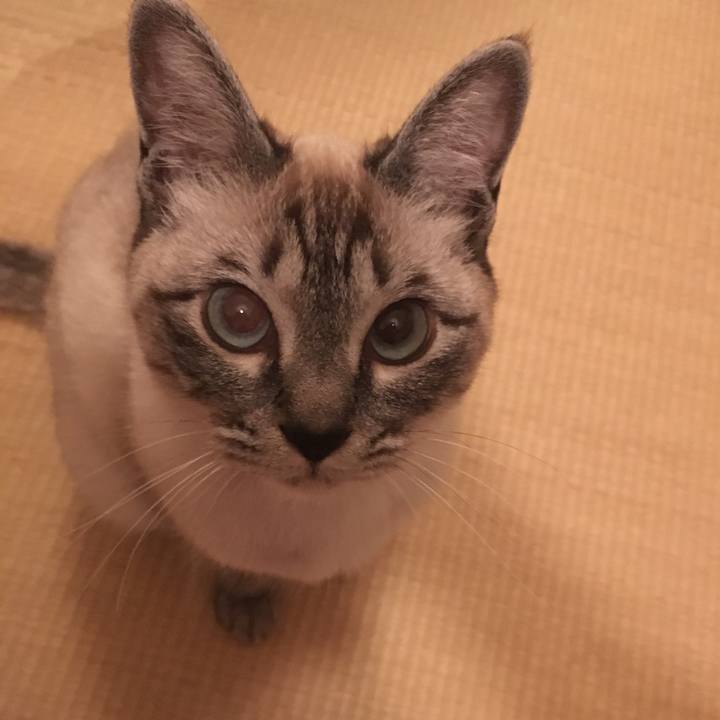 B6bddebe 1833 48d1 9a74 f5580a963f06 1556973476778