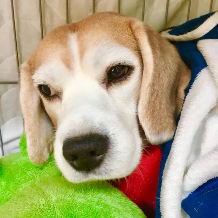 B6bdf07e 979f 42c4 a122 d19c4d9405d2 1768727080636