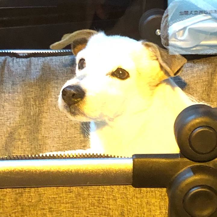 B6be2bb8 51c0 4fd2 9eac 2ed95dea84d0 1576934891283