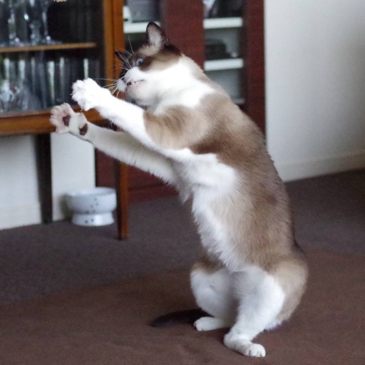 B6be4e13 a1d0 4fac 91a9 5f50a8f3b9a5 1561432847556