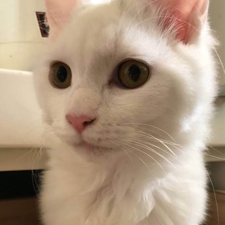 B6be87fa 4ac9 41af 8c78 8beda6f7dd36 1515845778340