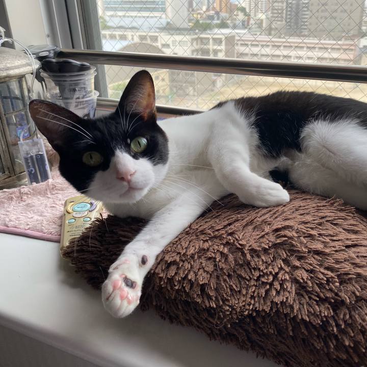 B6bef39b 69e1 4afd 8ae0 00a89ca6b3a0 1748582461962