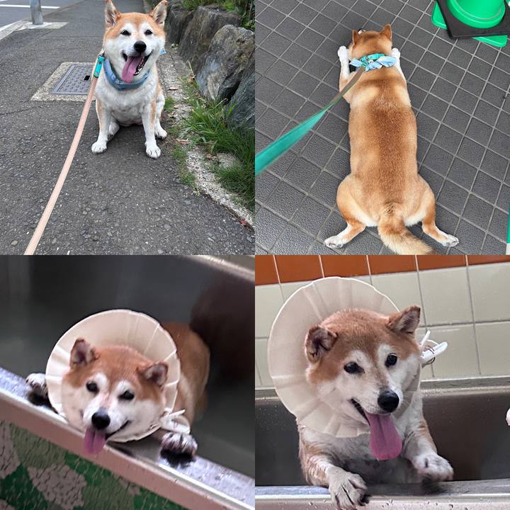 B6bf1d98 f4ac 407d aa8e 712067af150f 1724381223510