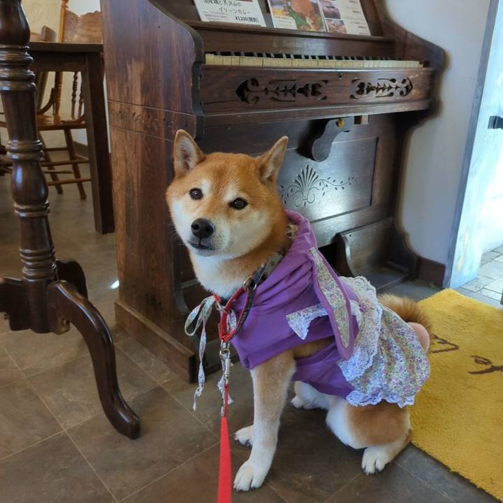 B6bf348b def2 4960 9f5b 4cba60267322 1710137671311