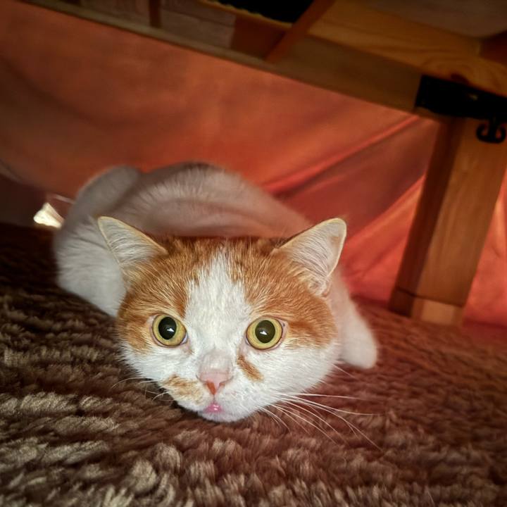 B6bf4f08 bc0a 4ae5 b7c2 cd8718804bc0 1762056486331