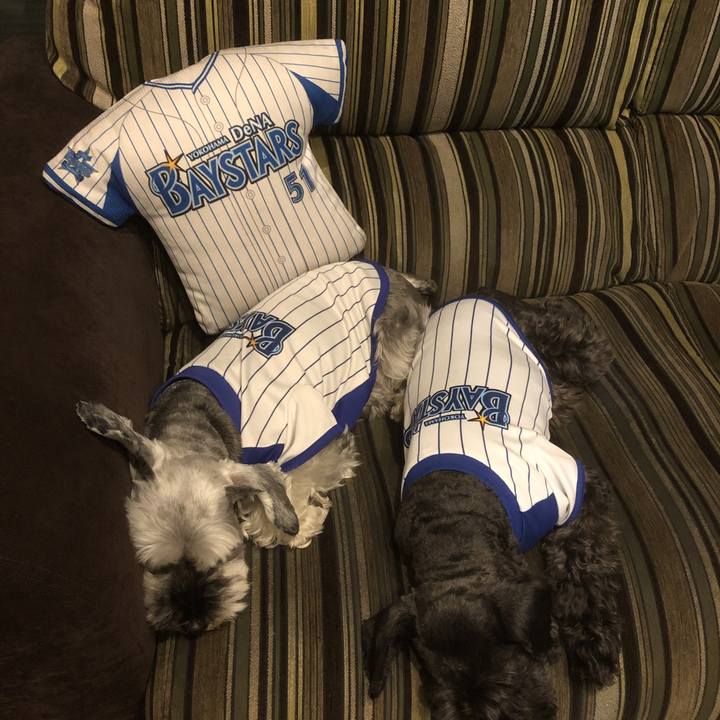 B6bfaa93 3474 4f15 9e14 7e13317b58fc 1563360624490