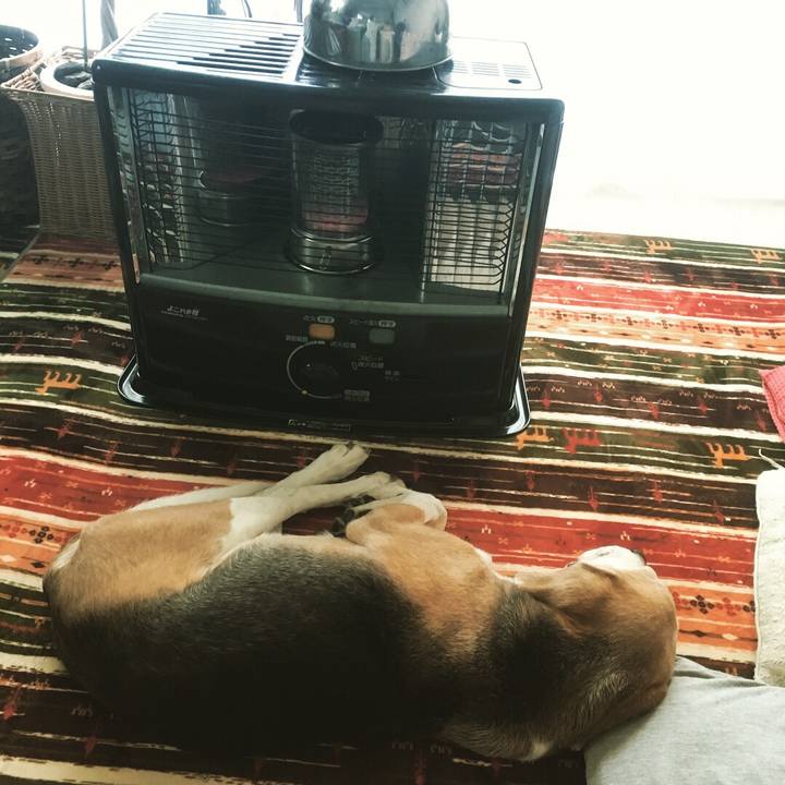 B6bfbbe2 83ef 4278 a41b 44cd2955f869 1526646642114