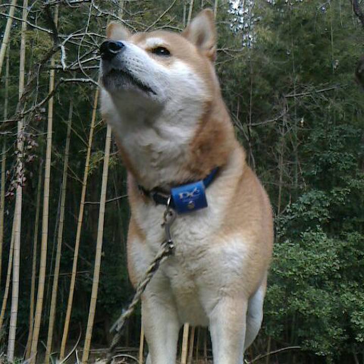 B6bfc116 3be3 43f8 9916 841f3141df0f 1550488782896