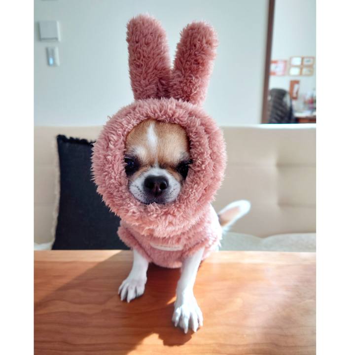 B6bfe799 de55 46a1 92ac dae516a1a153 1706229104668