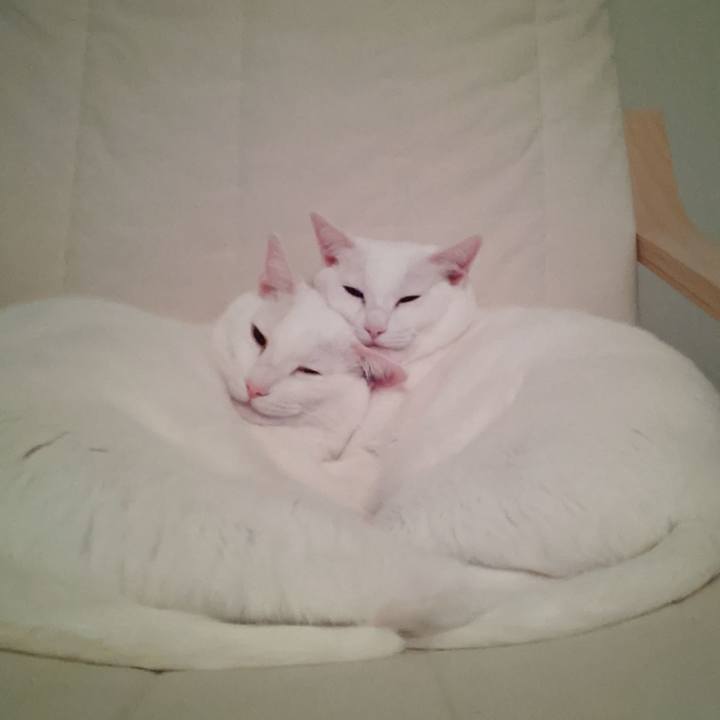 B6c01296 11b5 4e31 8520 18760556ffd1 1585409360668