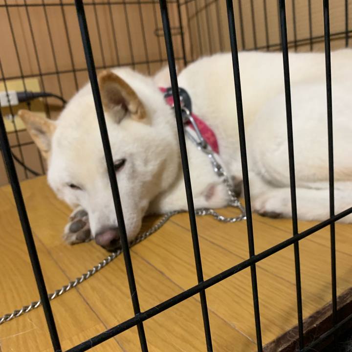 B6c03550 5990 4702 b2a1 b616ce3989cb 1565217788051