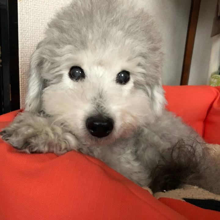 B6c07d5b 7254 40c8 987b 62fbba3d121e 1574731821158