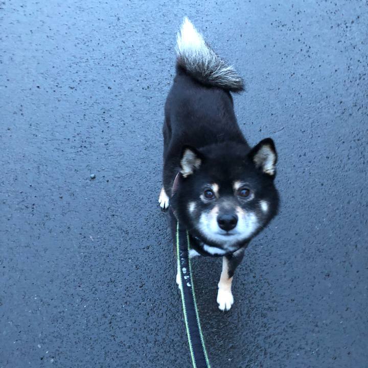 B6c0a518 7232 4a4e 9cd3 9d4b2d0e6322 1521939786359