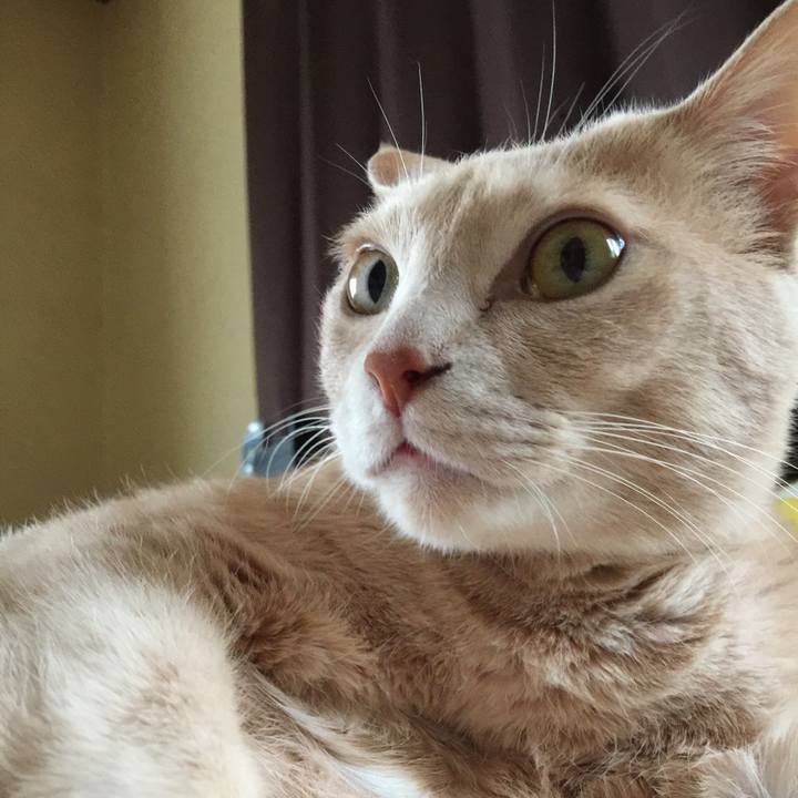 B6c0a78d c947 42be 9d54 0c8d2ccc252b 1525845463888