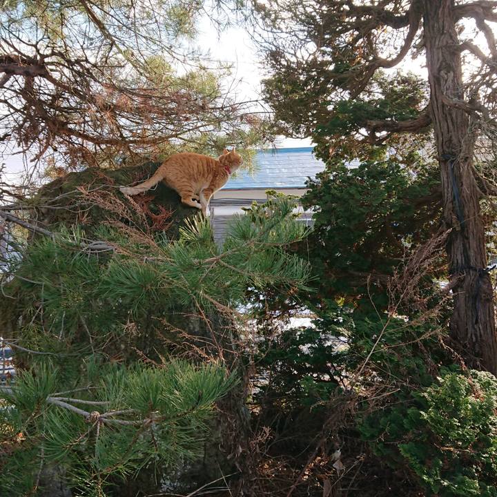 B6c0c4da d3c9 4f52 8a01 7164a732061d 1578117732403