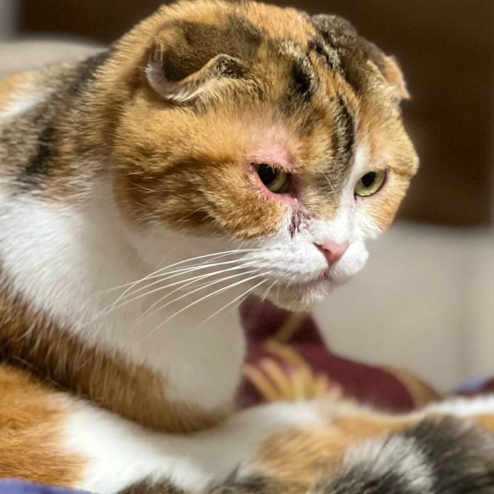 B6c0c6a7 31e6 4e78 946f ef2b9335acf8 1683806986407