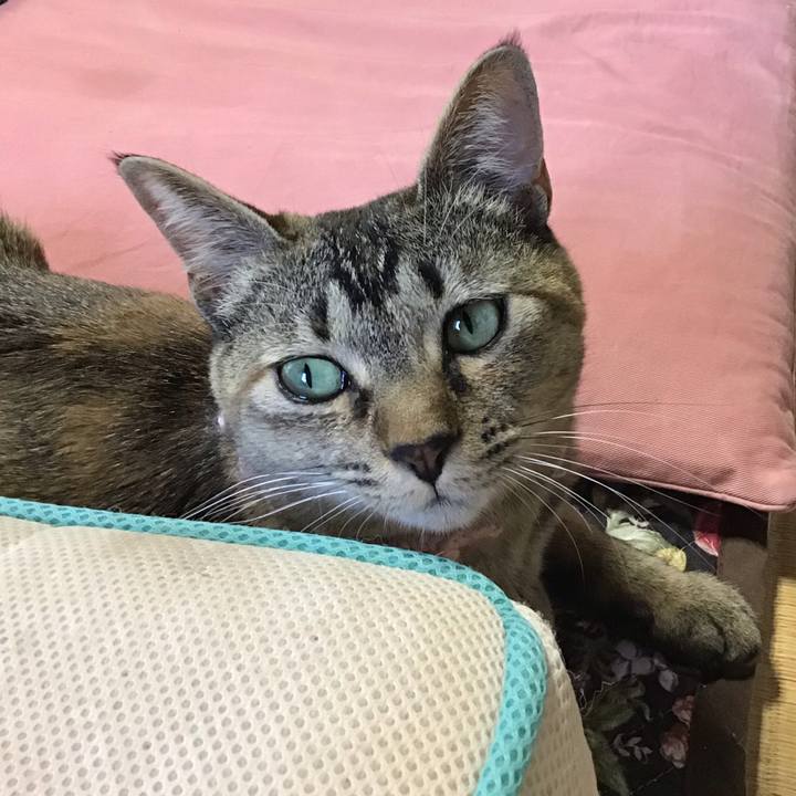 B6c0f3b8 9e5b 4d6a ac7f c851161c5b3d 1590751513310