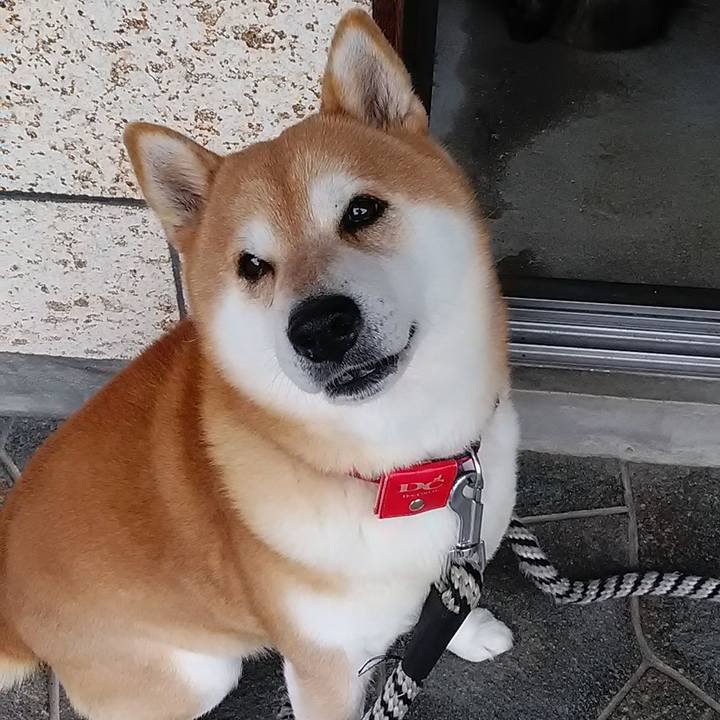 B6c13203 eeca 484d 97ba e44152a83e35 1674037839621