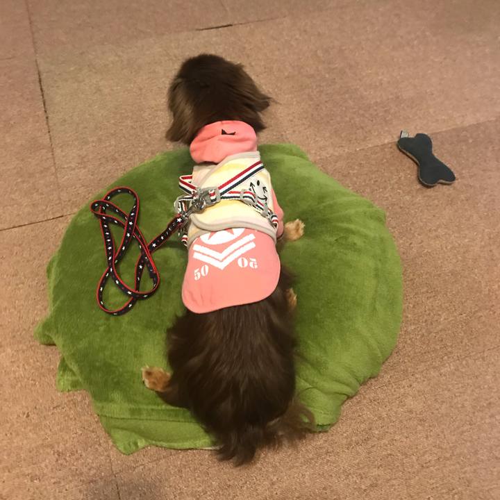 B6c1419e bcbb 42f9 8117 102d8f7d7610 1572851101364