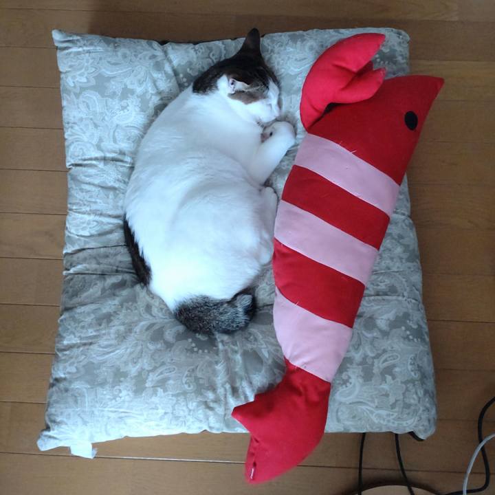 B6c161bc d373 430d ab22 fb08219cc2ea 1726818044138