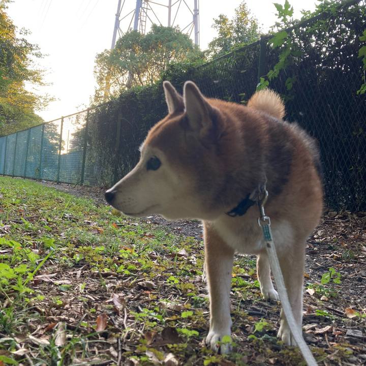 B6c1652c df47 424b 8cf8 7eae0995bf58 1730705698503