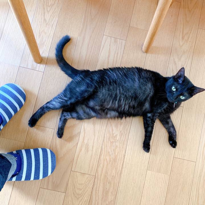 B6c18583 ceee 4c7e a91e 1ba29e8b2c26 1561727964293