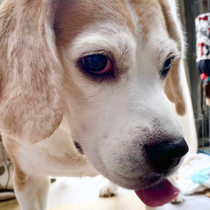 B6c1e23f b9fb 4e04 9d79 78414576f076 1593317485950