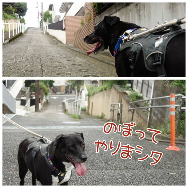 B6c1e28b 7095 4977 9ef9 bfab1b91ab1b 1662424406329