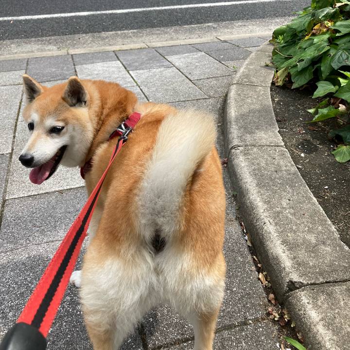 B6c23827 2822 48f1 886d f802894f5583 1625044347451