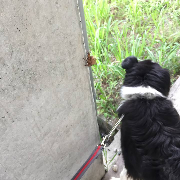 B6c24af7 74c9 4a6e 80ec ac2605471583 1562540630017