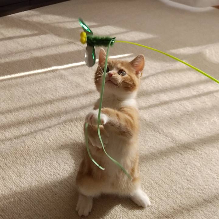 B6c27147 20d0 4b2b 9362 6dda7f5b1768 1621334957932