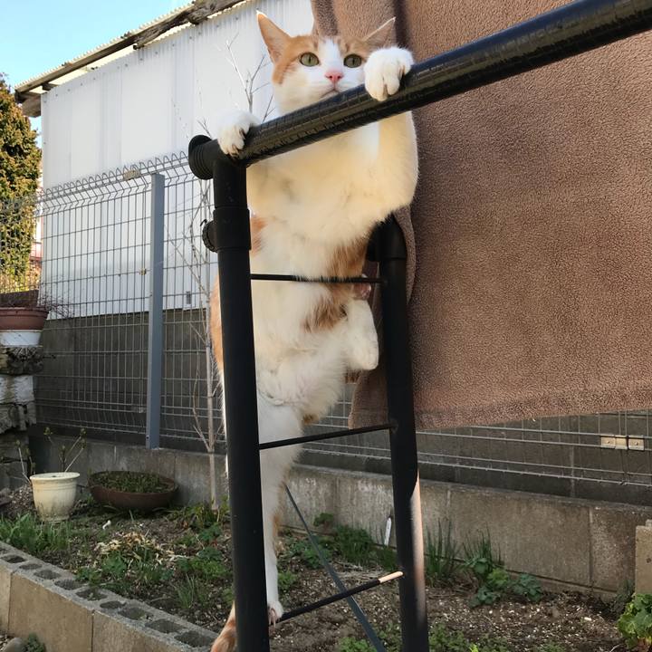 B6c2aab0 b375 4398 a0ea aac0909cc7de 1522378495304