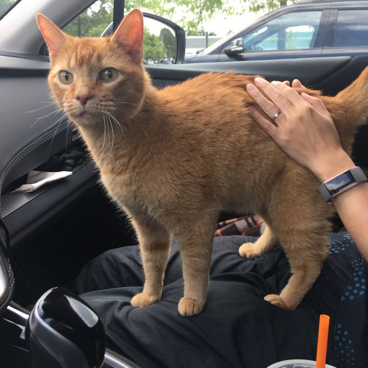 B6c2bc02 95a6 47c5 87dc b829a66a16a2 1626833090495