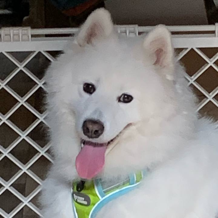 B6c2d752 78ba 4ee5 ae2b 0f7ce8a42a90 1599272453250