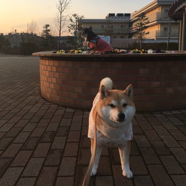 B6c31a0e 5187 44a5 b99d eae3d731285f 1551781446277