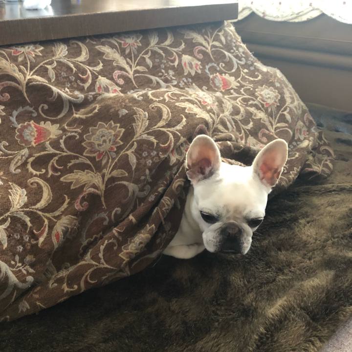 B6c322d4 666b 4fcf b8b9 6be1b6f465c6 1578195660660