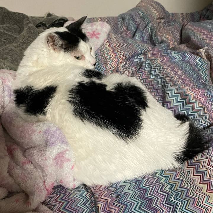 B6c33aa4 5b78 45d4 beec ab62cb091658 1677072025593