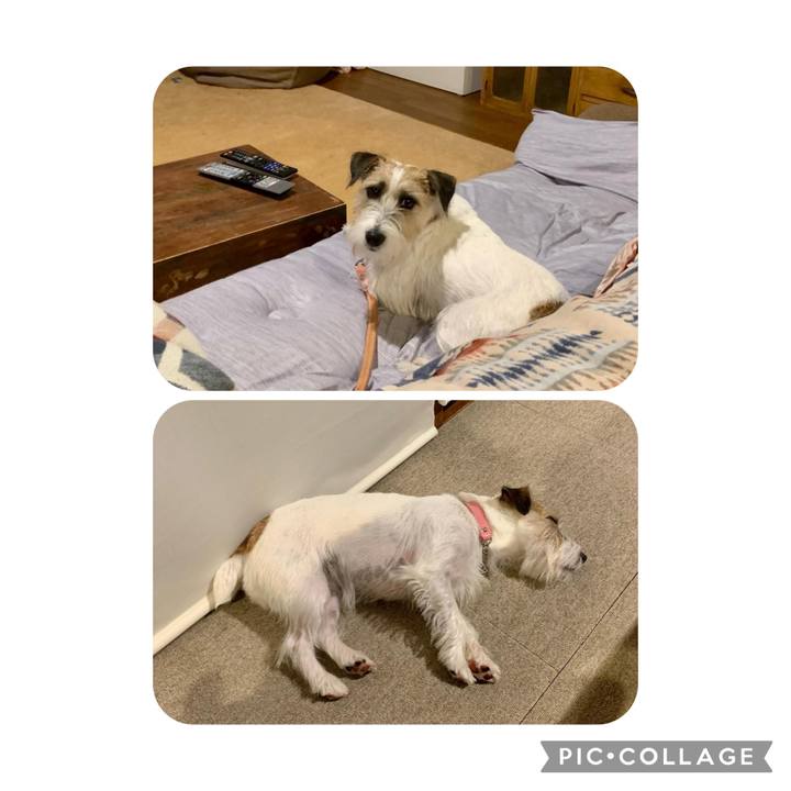 B6c3441e ec93 44f2 9b42 61dd8fc1a639 1663255881814