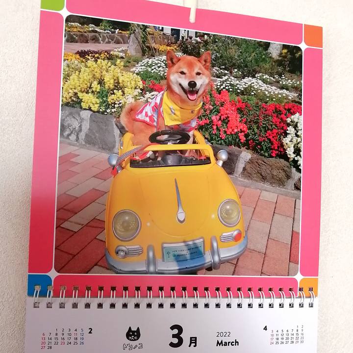 B6c3a99c 159a 4e90 8017 da9bdfe2313d 1646092482327