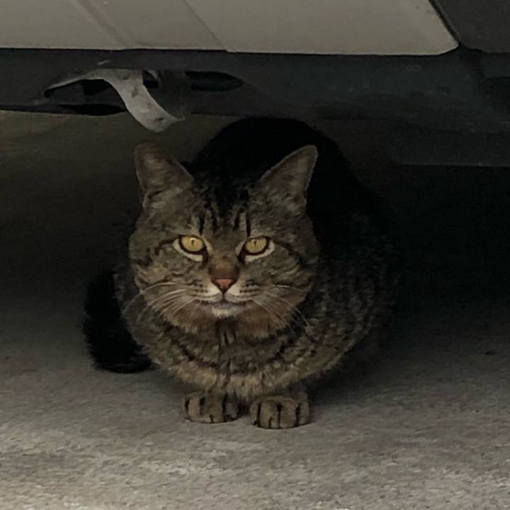 B6c3c26b 0470 4422 b312 49616c826f9f 1525790409807