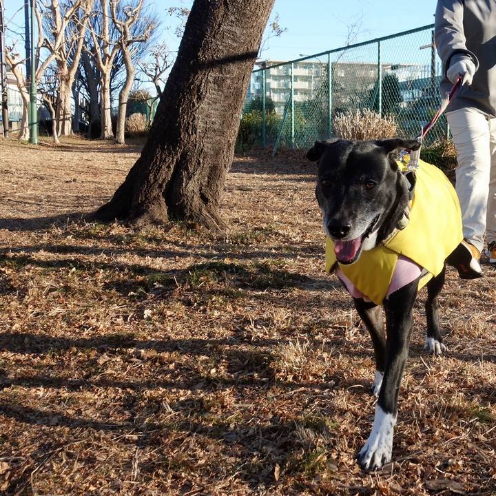 B6c3c35b 1854 4864 a60c 49621e2ffd3f 1739058514017