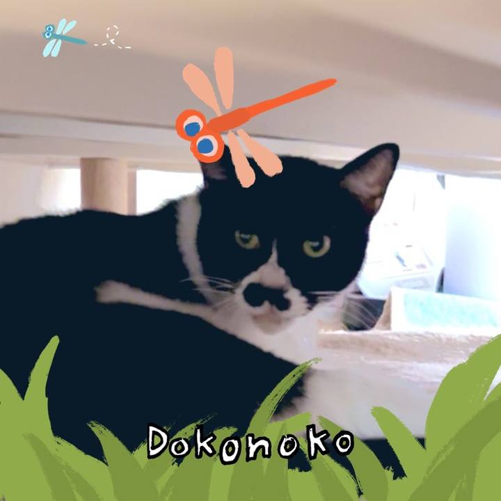 B6c3d772 ba3a 4877 92f9 2005e9d697df 1726903416813